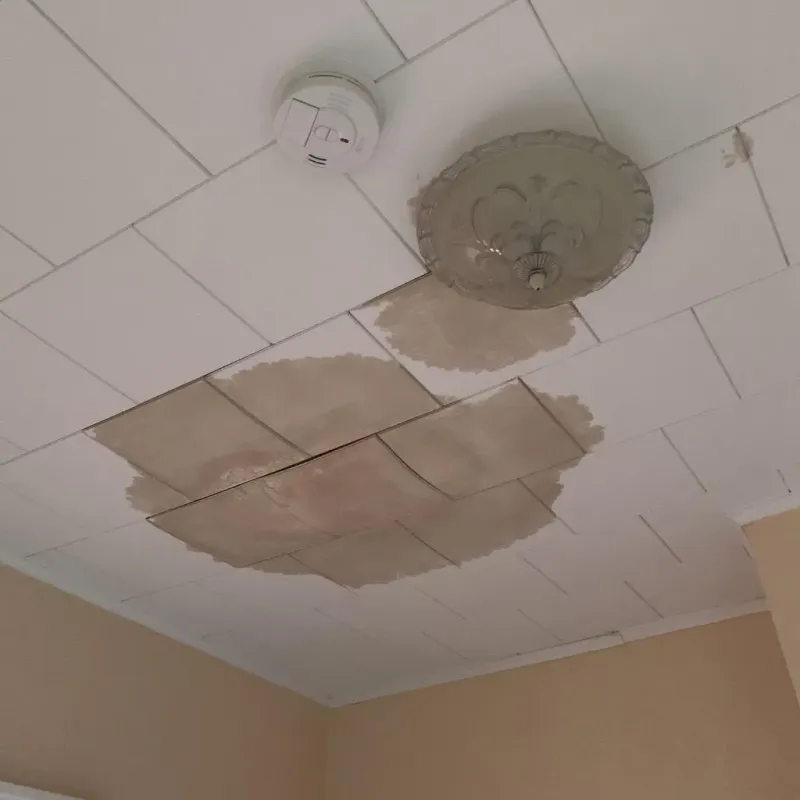 Ceiling Water Damage Repair in Spruce Pine, NC