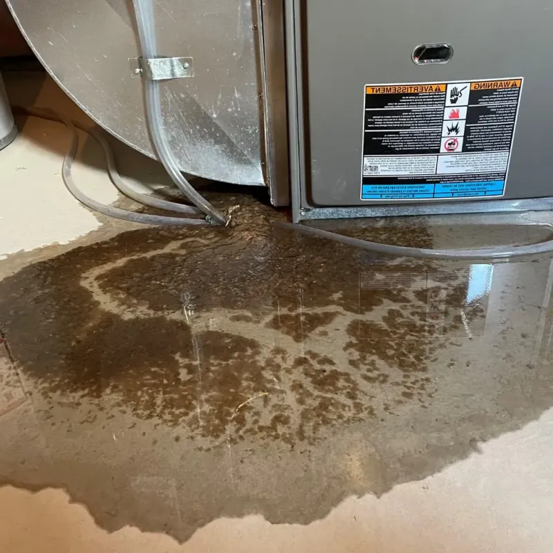 Pipe Burst and Leak Restoration in Spruce Pine, NC