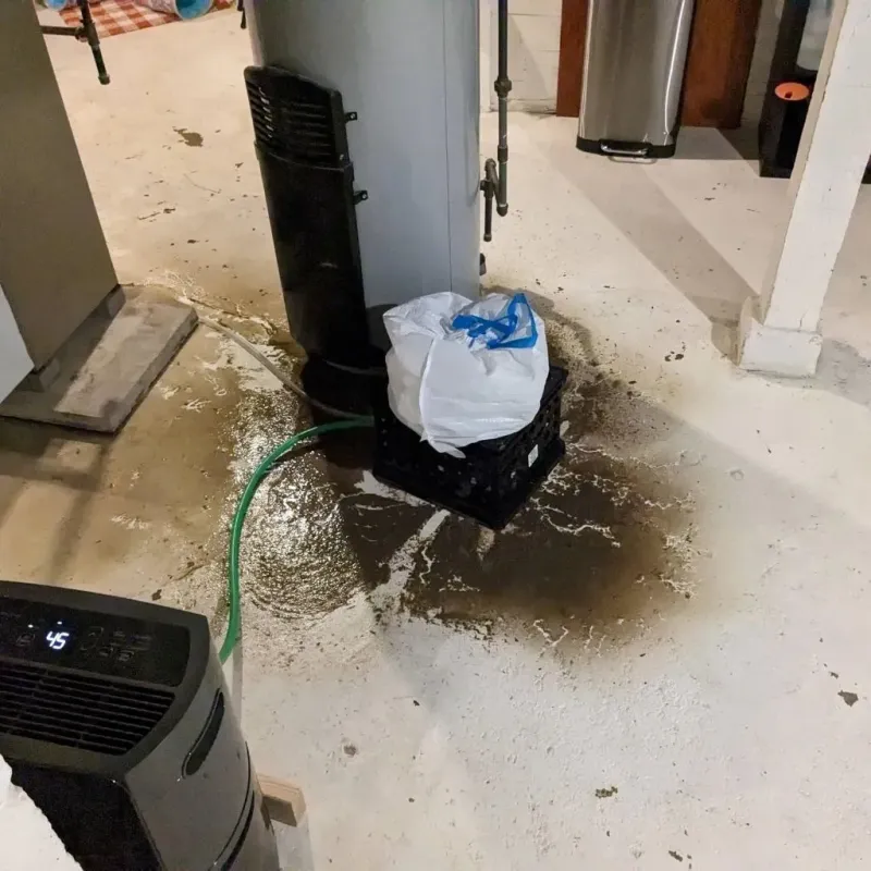 Sewage Backup Cleanup Service in Spruce Pine, NC